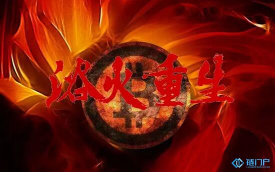幣圈已涼，Token重生