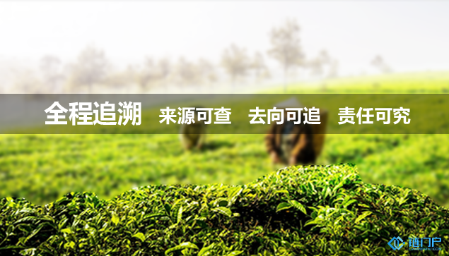 區塊鏈溯源技術能解決食品安全問題嗎？