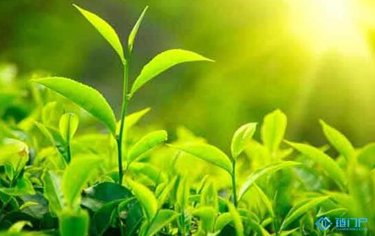 申請綠色工廠有什么好處，如何通過認證并獲得資金補貼扶持政策的條件和流程