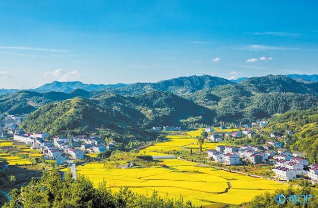 中國鄉村振興50人論壇介紹