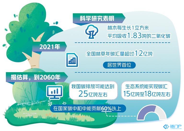 當前，“雙碳”進展如何？林業如何為“雙碳”達標多作貢獻？